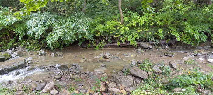 Maier family camp and market LLC. Picture 5