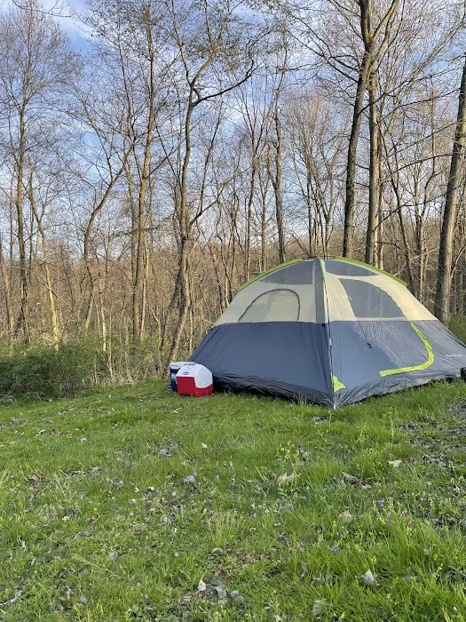 Hidden Hollow Campground Picture 1