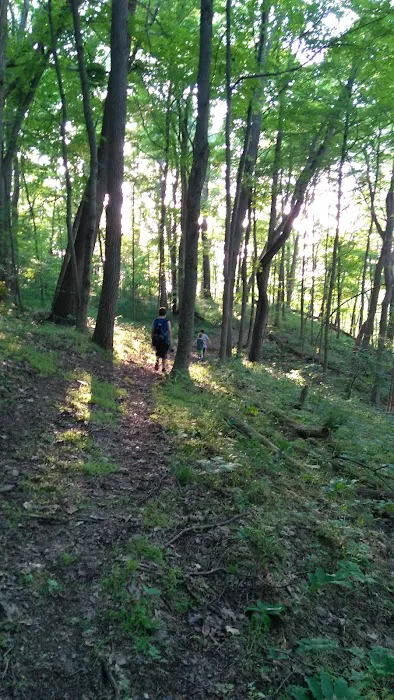 Hidden Hollow Campground Picture 2