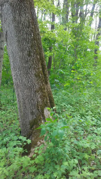 Tannehill Pointe Mobile Home Park Picture 8