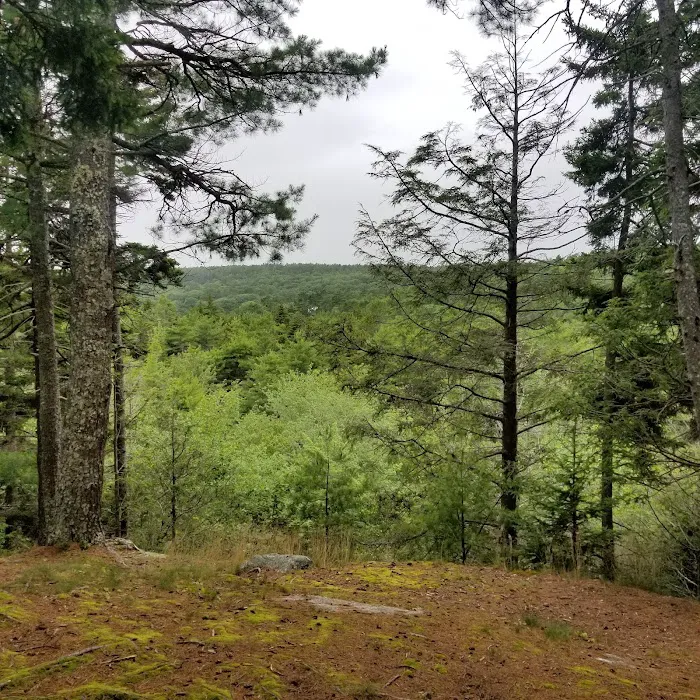 Meadowbrook Camping Area Picture 10