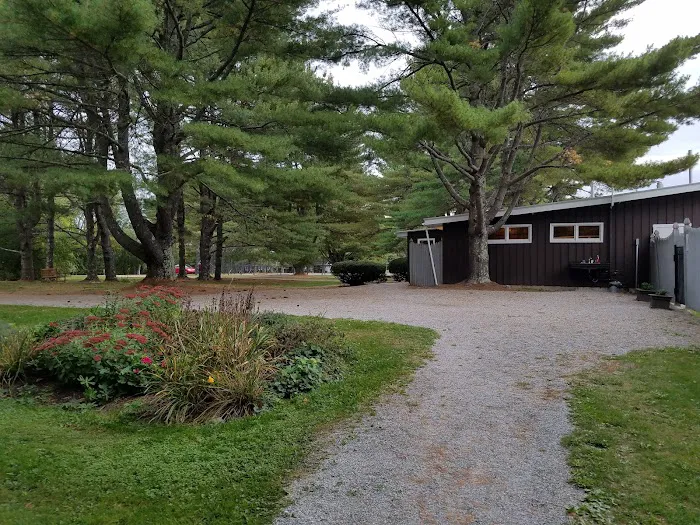 Chewonki Campground Picture 2