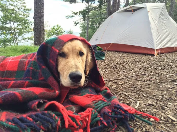 Sagadahoc Bay Campground Picture 6