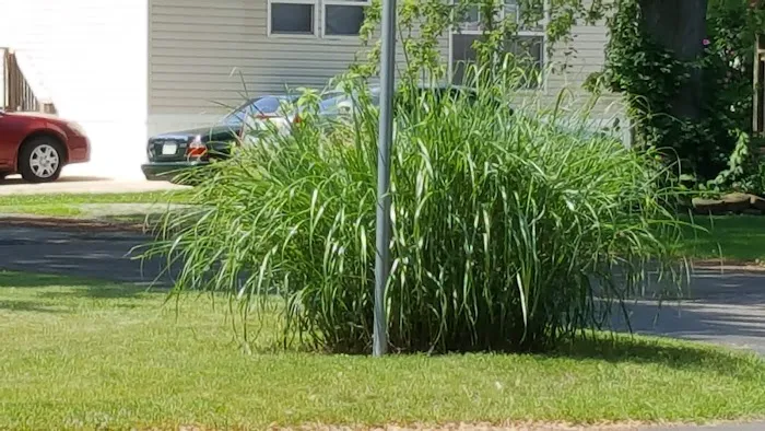 Green Acres Manufactured Home Community Picture 6