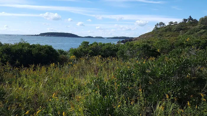 Hermit Island Campground Picture 9