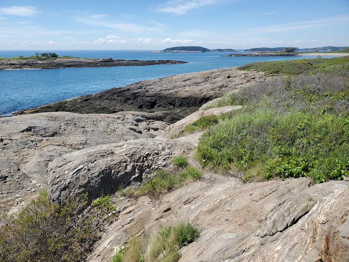Hermit Island Campground Picture 2