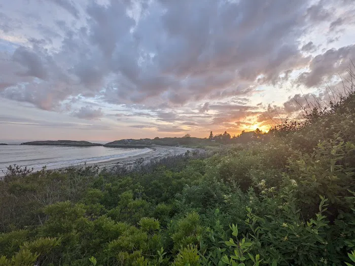 Hermit Island Campground Picture 5