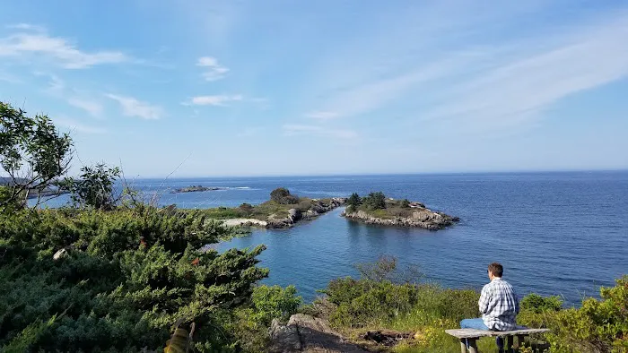 Hermit Island Campground Picture 6