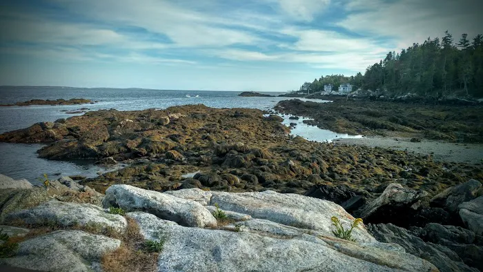 Gray Homestead Oceanfront Camping Picture 1