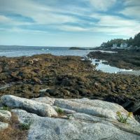 Gray Homestead Oceanfront Camping ico