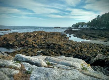 Gray Homestead Oceanfront Camping