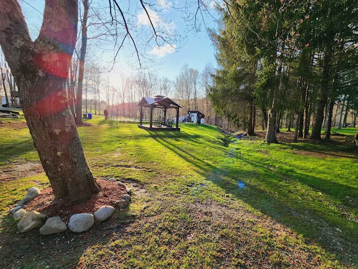 Martin Stream Campground Picture 9