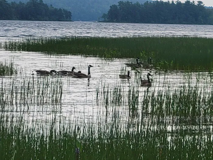 Androscoggin Lake Campground Picture 7