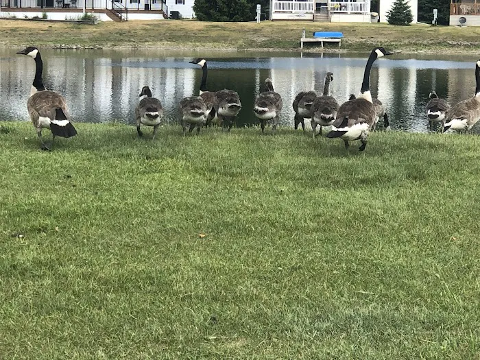 Pine Lakes Community Picture 8