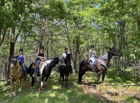 Dude's Ranch Campground