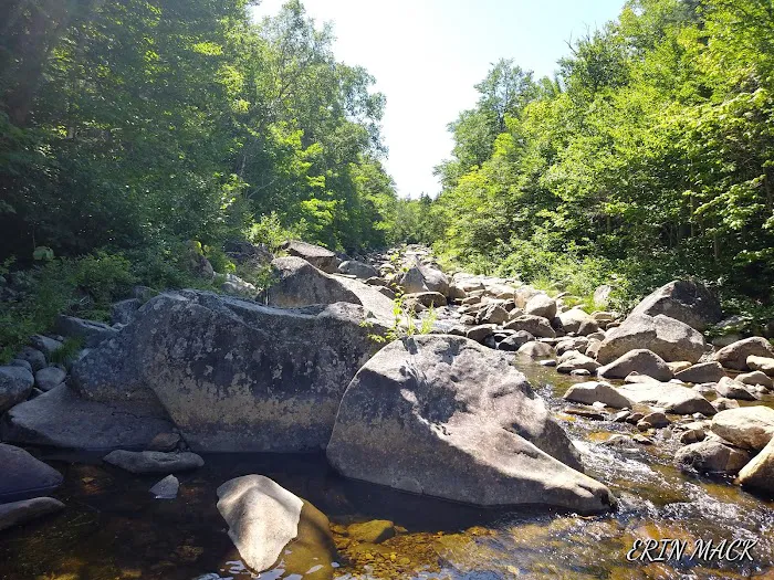 AT Campsite Picture 8