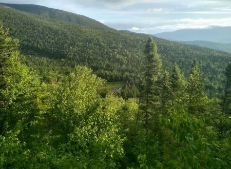 Crocker Mountain Cirque Campground
