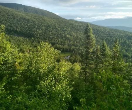 Crocker Mountain Cirque Campground