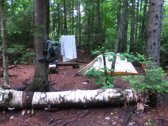 Cranberry Stream Campsite Picture 4