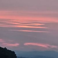 Cranberry Stream Campsite ico