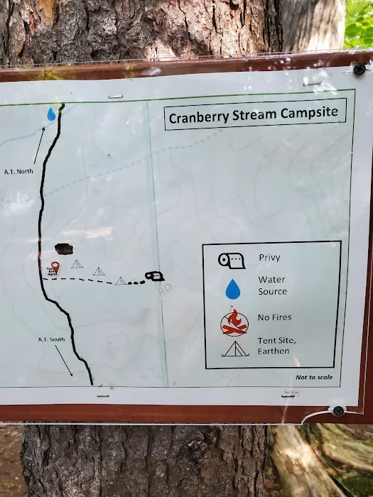Cranberry Stream Campsite Picture 10