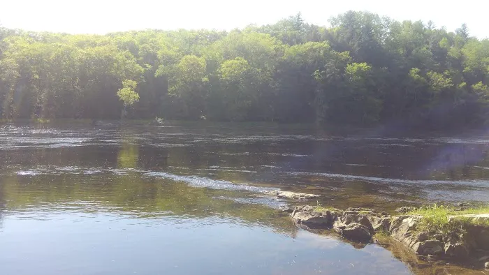 Loggers Landing Campground Picture 2
