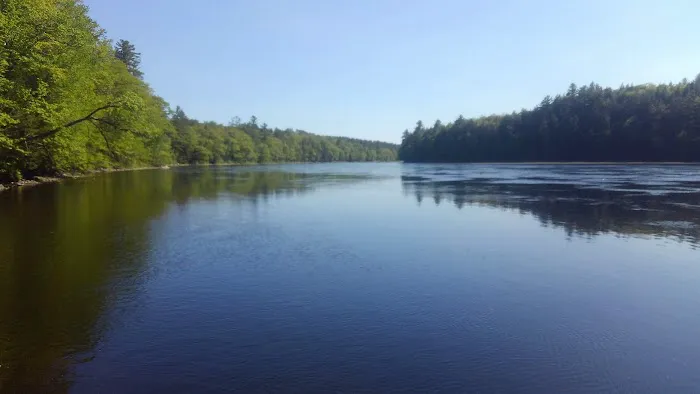 Loggers Landing Campground Picture 1