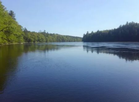Loggers Landing Campground