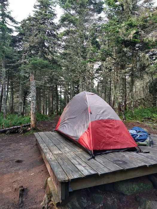 Bigelow Col Campsite 2010.7 Picture 6