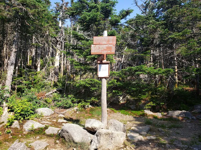 Bigelow Col Campsite 2010.7 Picture 7