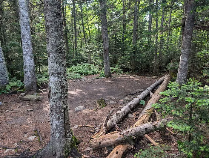Horn Pond Campsite Picture 8