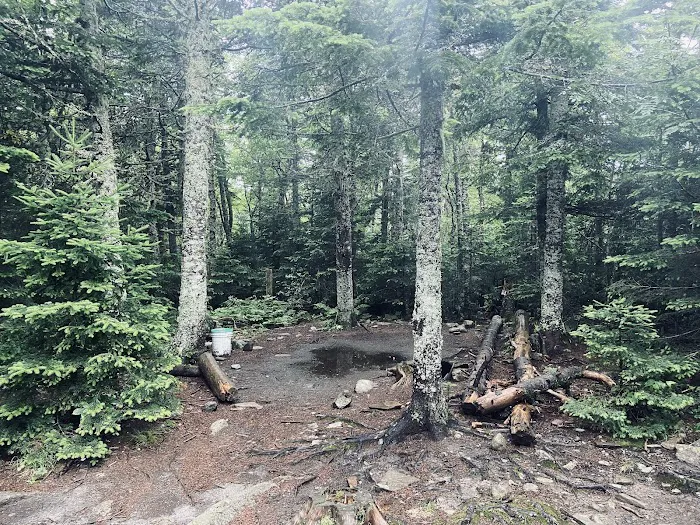 Horn Pond Campsite Picture 3