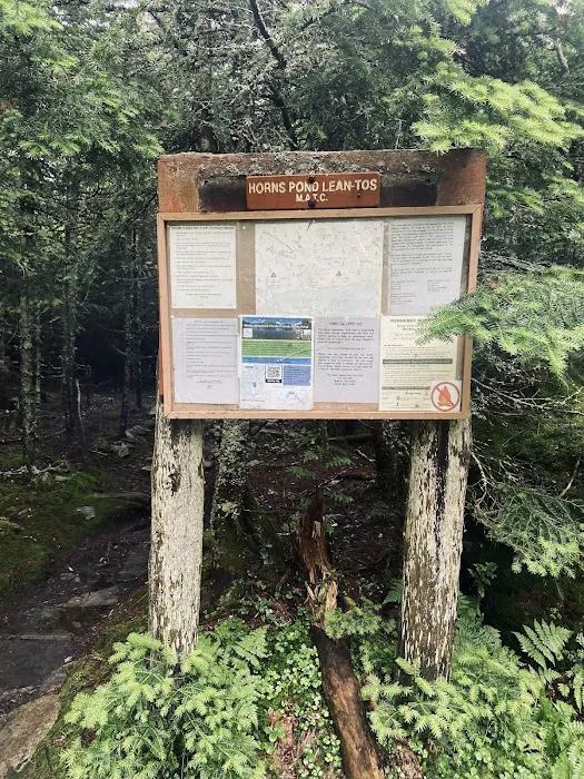 Horn Pond Campsite Picture 1