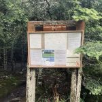 Horn Pond Campsite