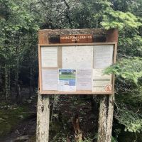 Horn Pond Campsite ico