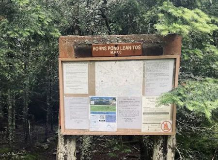 Horn Pond Campsite