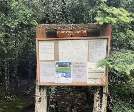 Horn Pond Campsite