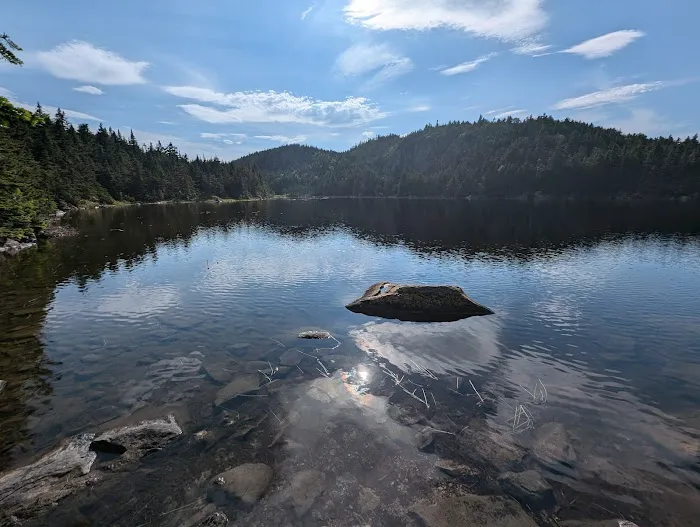 Horn Pond Campsite Picture 6