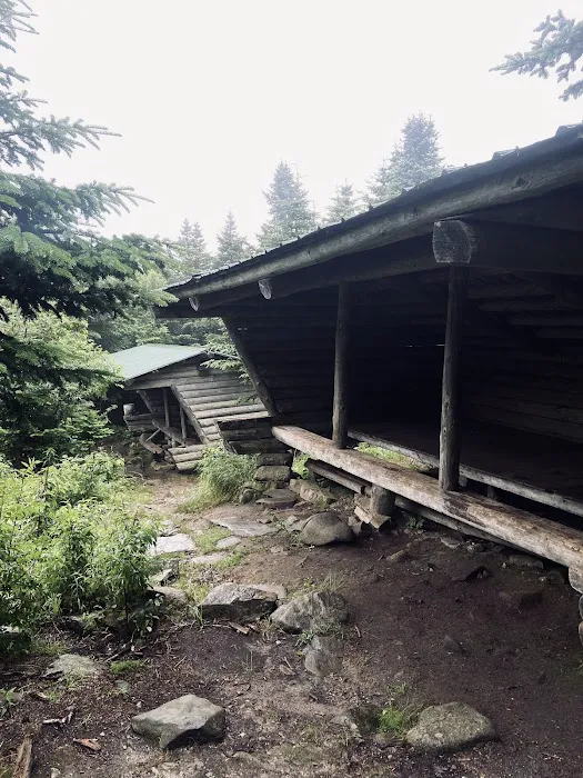 Horn Pond Campsite Picture 4