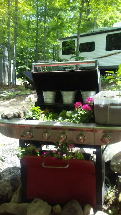 More To Life Family Campground Picture 9