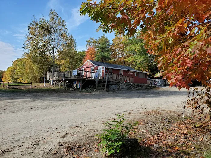 More To Life Family Campground Picture 3