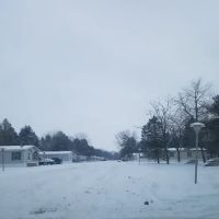 Saginaw Villas ico