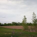 Thomas Crossings