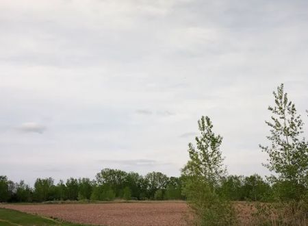 Thomas Crossings