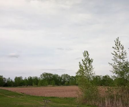 Thomas Crossings