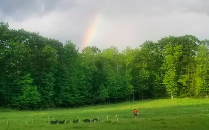 Stone Grove Farm Picture 2