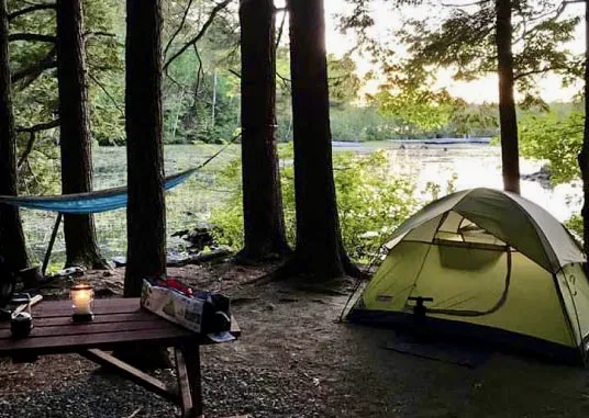 Birches Lakeside Campground Picture 2