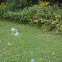 Locust Lane Campground ico