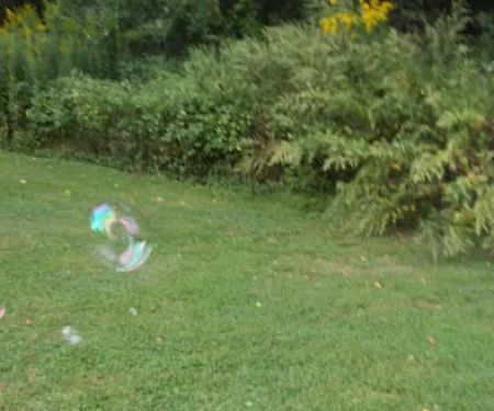 Locust Lane Campground
