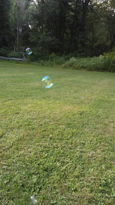 Locust Lane Campground Picture 2
